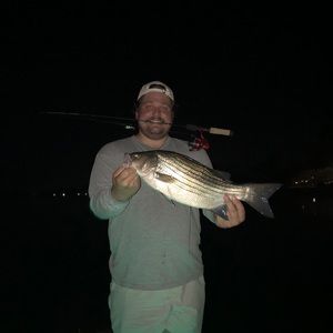 Meet your Posher, Noah